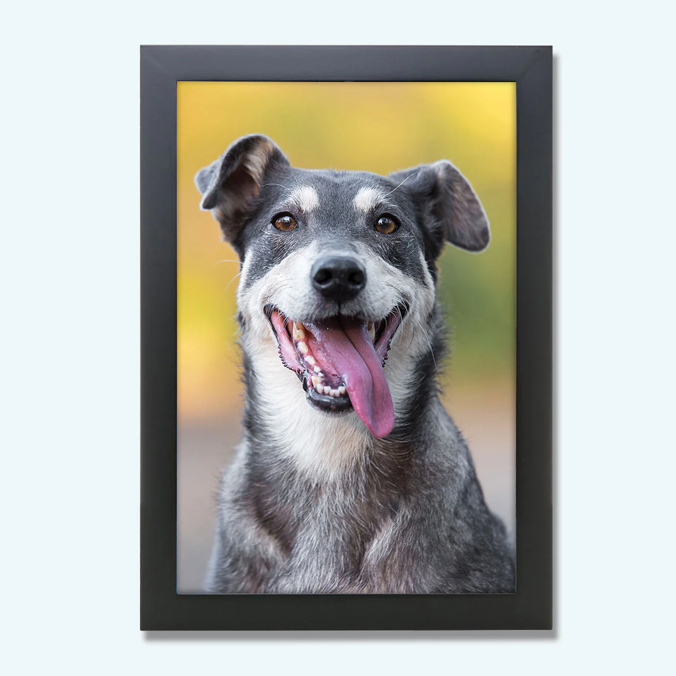Framed Prints - Image 10