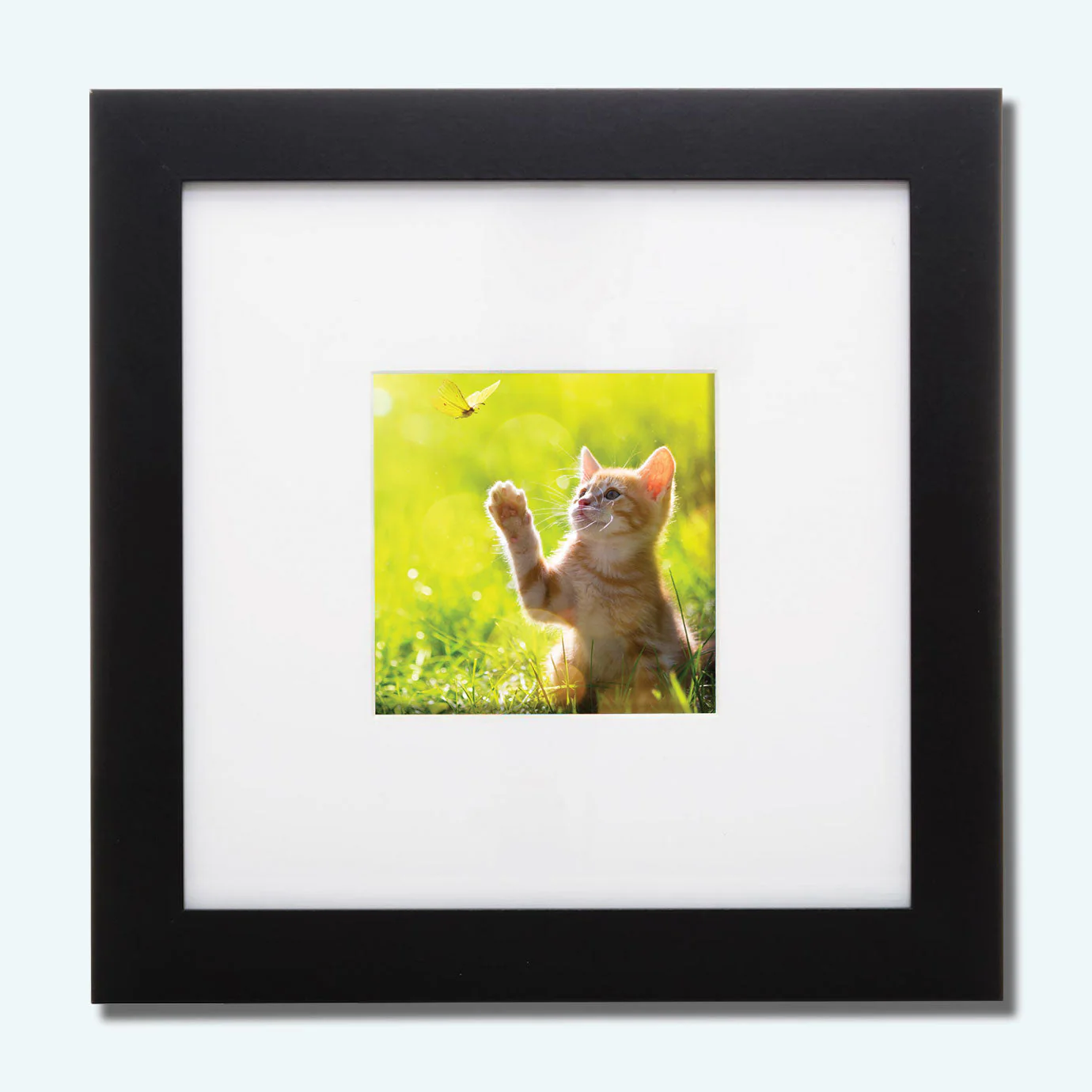 Framed Prints - Image 6
